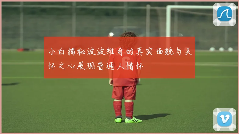 小白揭秘波波维奇的真实面貌与关怀之心展现普通人情怀