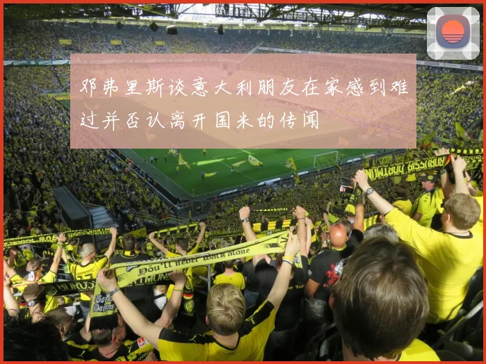 邓弗里斯谈意大利朋友在家感到难过并否认离开国米的传闻